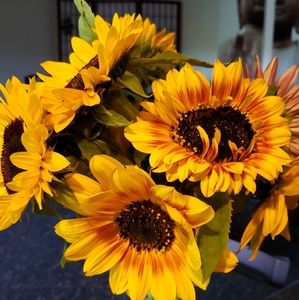 Meet your Posher, Carla